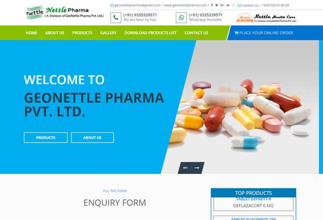 Webmingo | Our Works | Geo Nettle Pharma