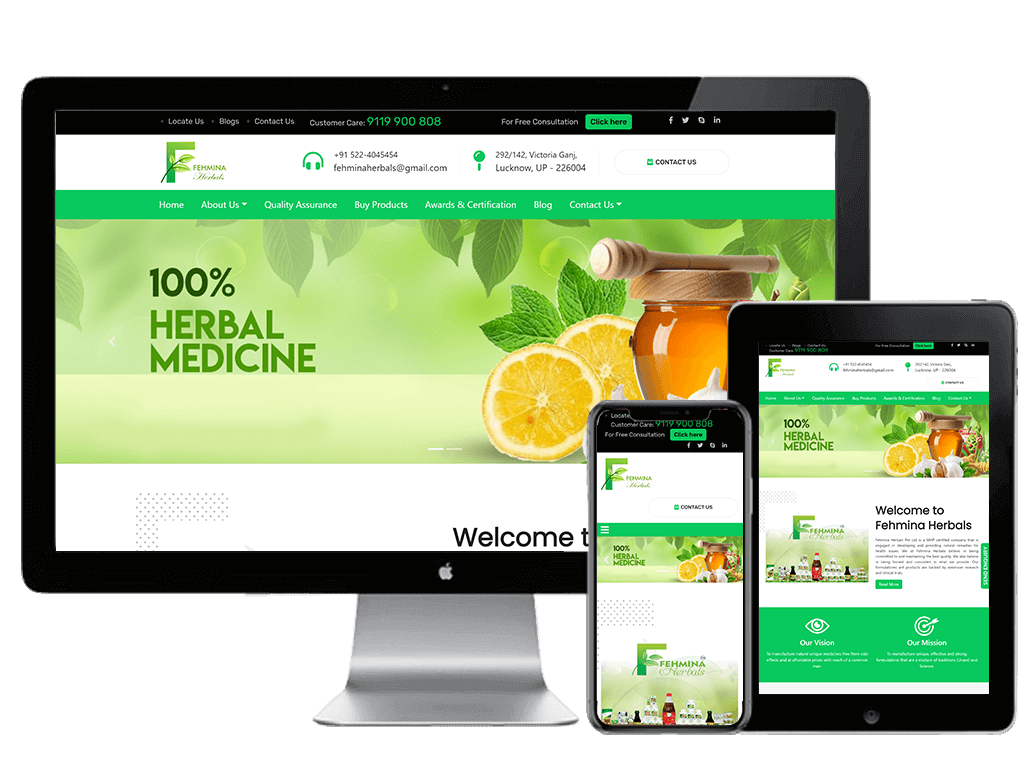 Webmingo | Our Works | Fehmina Herbals